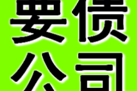 临沂为什么选择专业追讨公司来处理您的债务纠纷？